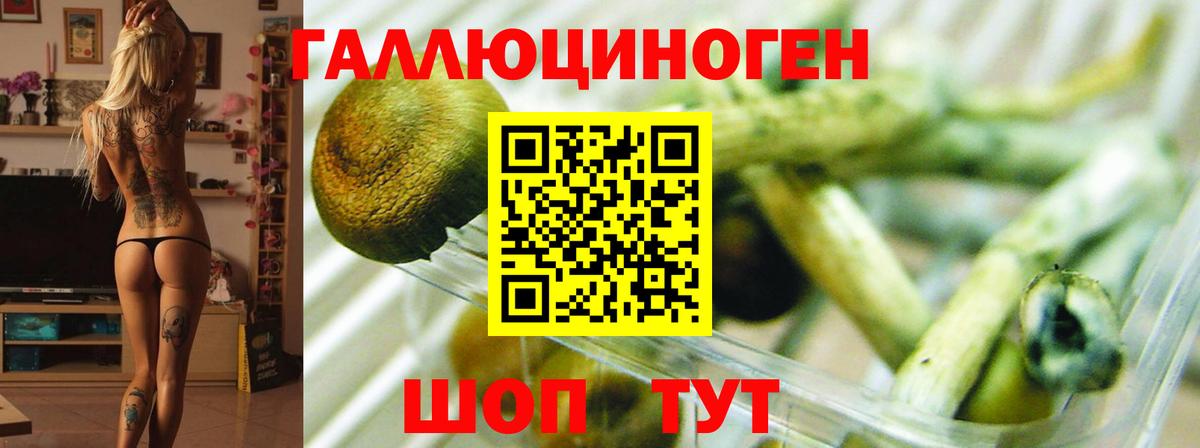 Галлюциногенные грибы прущие грибы  Вход с VPN  Усть-Джегута 