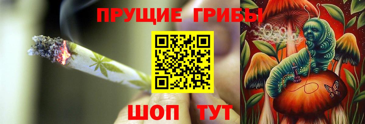 Галлюциногенные грибы Cubensis Усть-Джегута