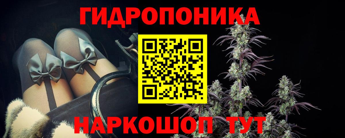 Конопля сатива  Марихуана Ganja  Вход с VPN  Усть-Джегута  Конопля ГИДРОПОН 